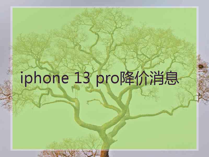 iphone 13 pro降价消息