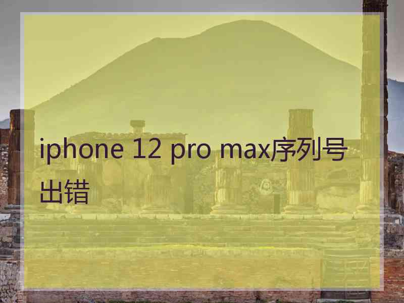 iphone 12 pro max序列号出错