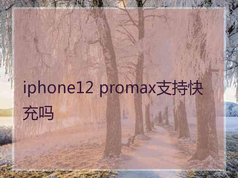 iphone12 promax支持快充吗