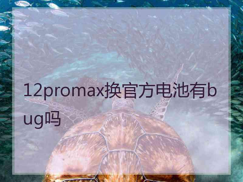 12promax换官方电池有bug吗