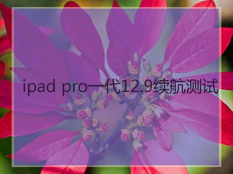 ipad pro一代12.9续航测试