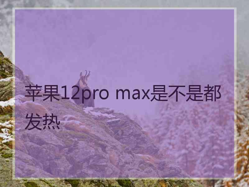 苹果12pro max是不是都发热