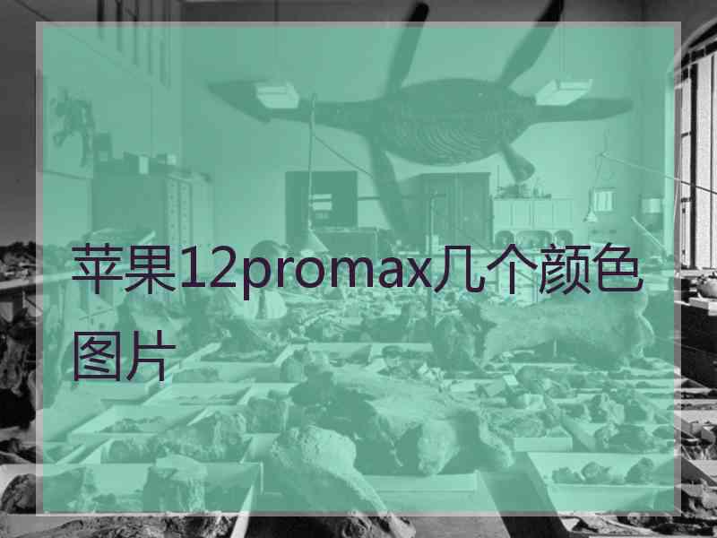 苹果12promax几个颜色图片