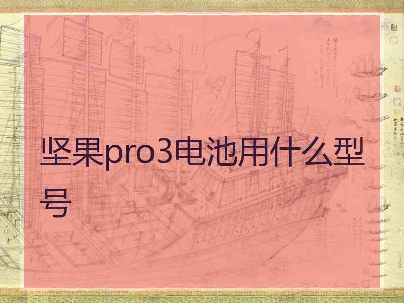 坚果pro3电池用什么型号