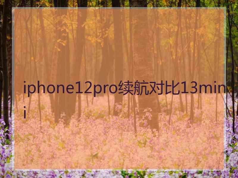 iphone12pro续航对比13mini