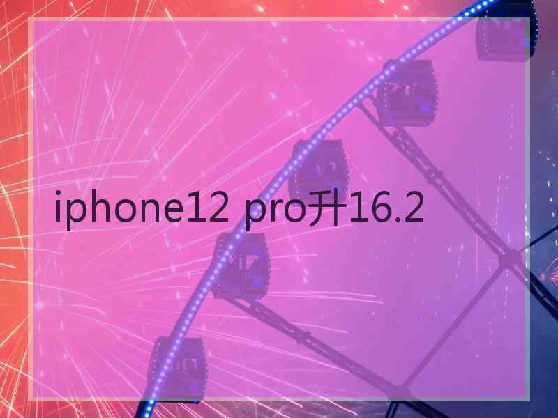 iphone12 pro升16.2