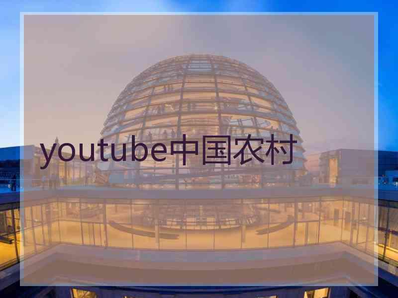 youtube中国农村