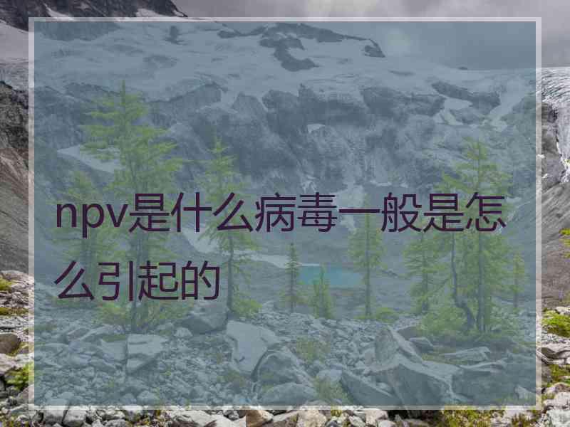 npv是什么病毒一般是怎么引起的