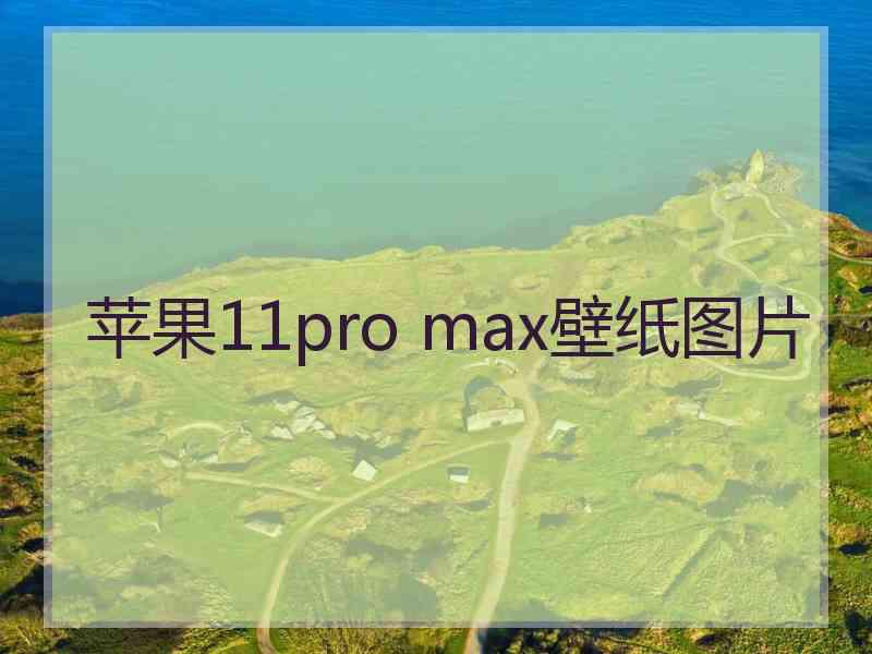 苹果11pro max壁纸图片