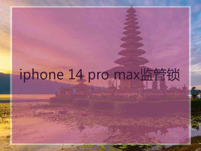 iphone 14 pro max监管锁