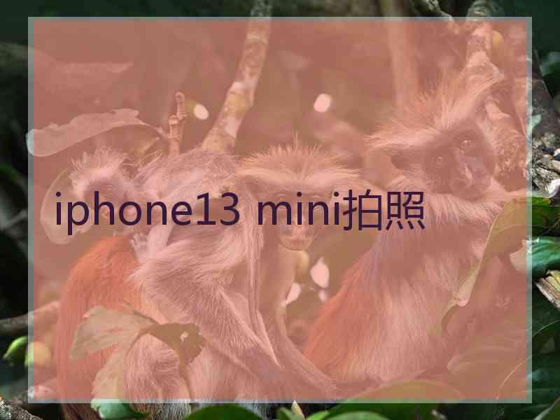 iphone13 mini拍照