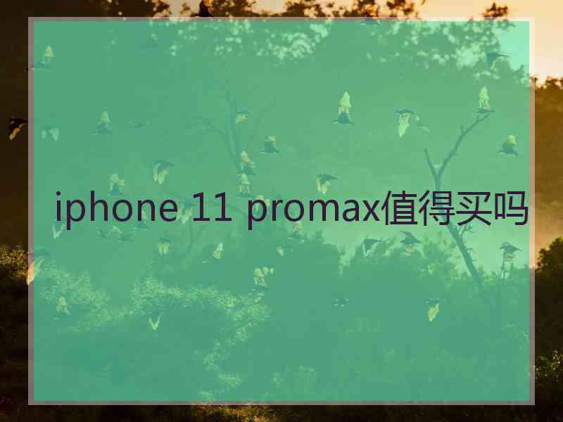 iphone 11 promax值得买吗