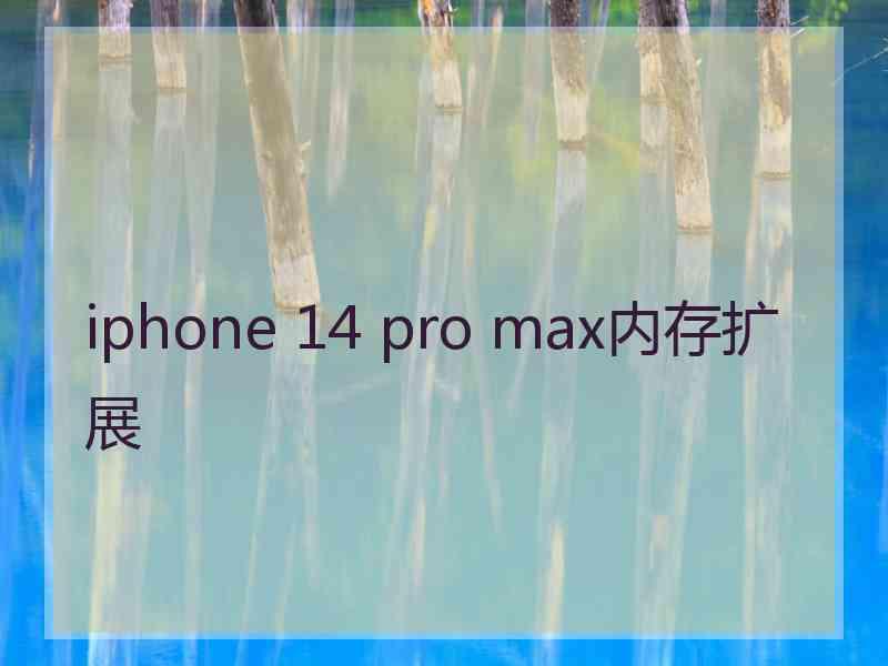 iphone 14 pro max内存扩展