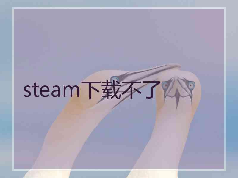 steam下载不了