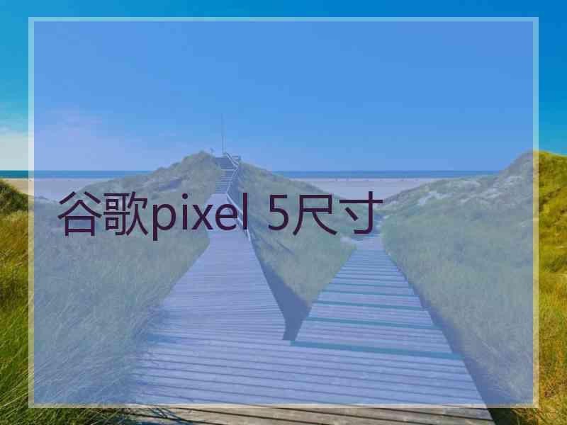 谷歌pixel 5尺寸