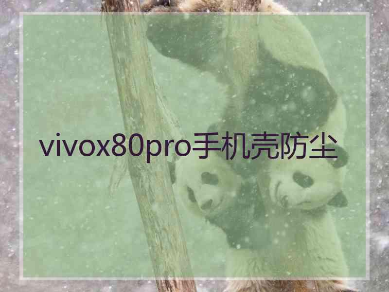 vivox80pro手机壳防尘