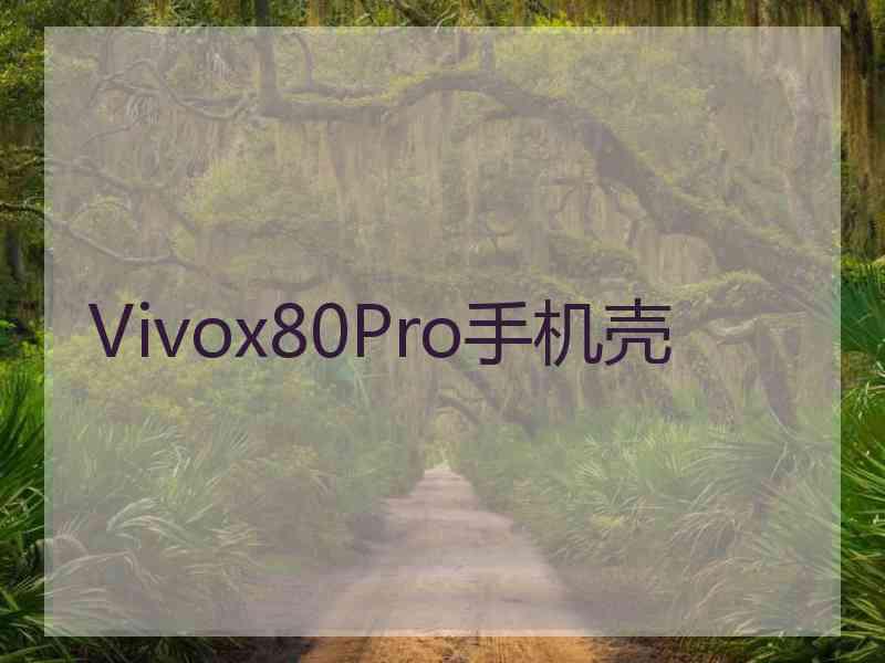 Vivox80Pro手机壳