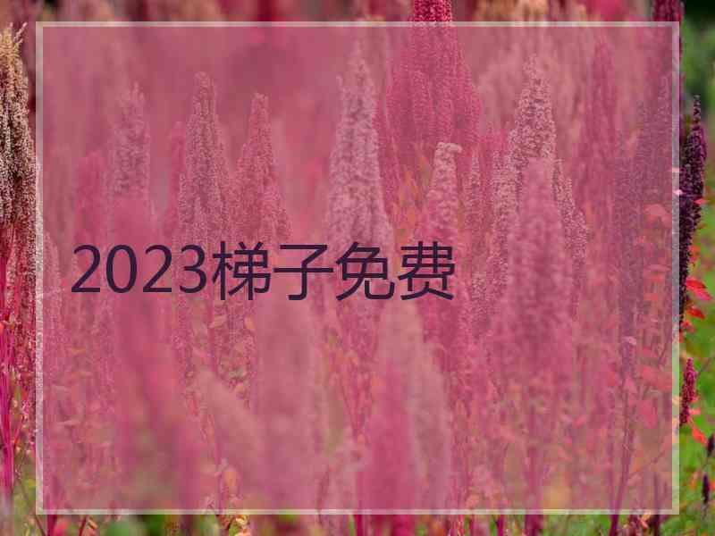 2023梯子免费