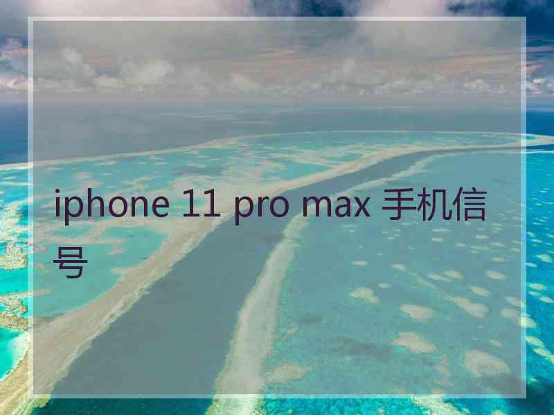 iphone 11 pro max 手机信号