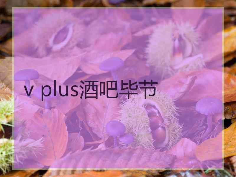 v plus酒吧毕节