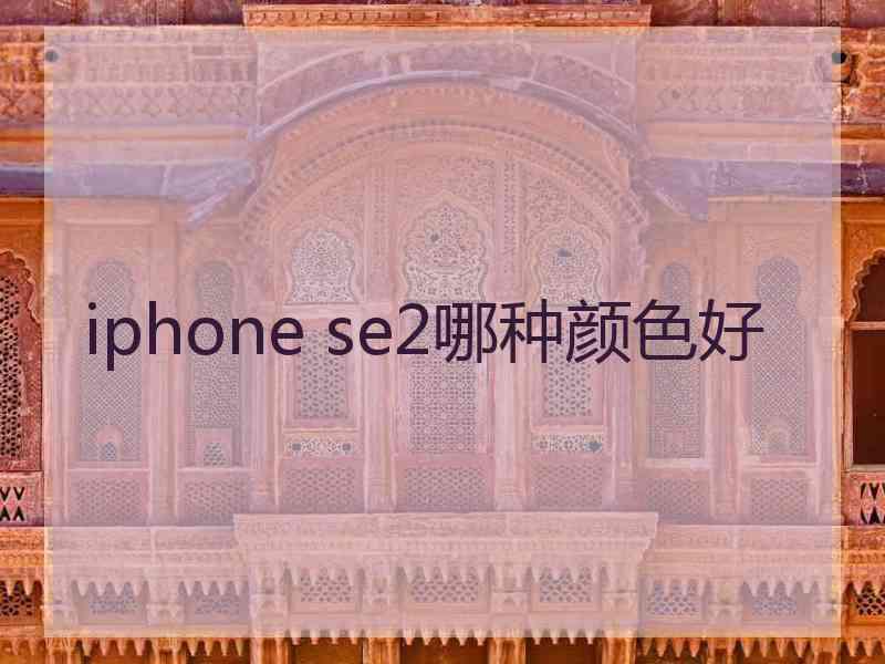 iphone se2哪种颜色好