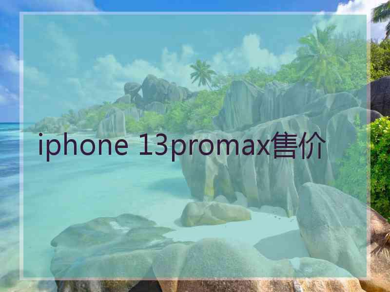 iphone 13promax售价