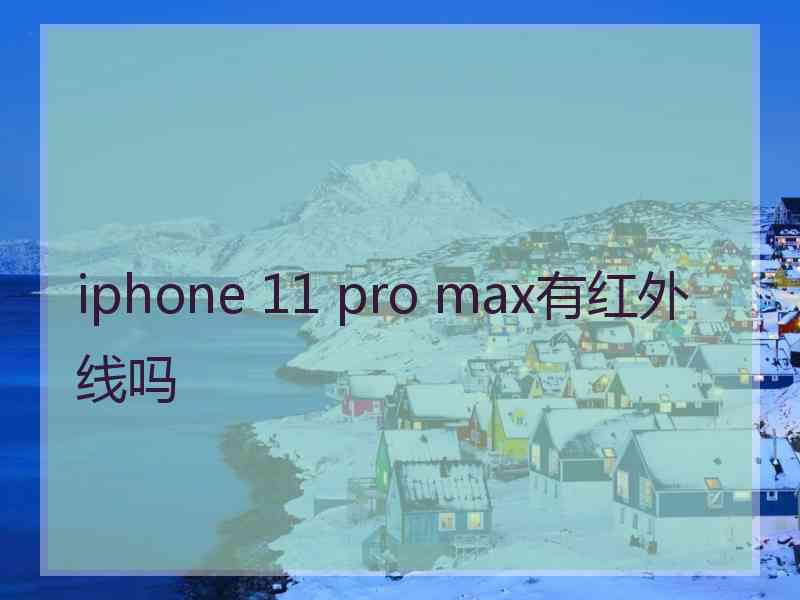 iphone 11 pro max有红外线吗