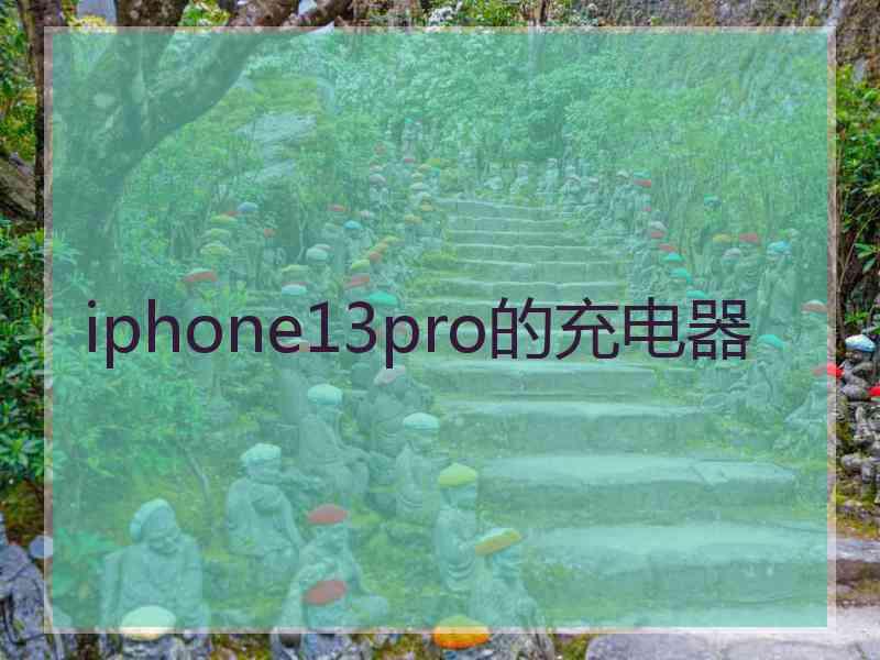 iphone13pro的充电器