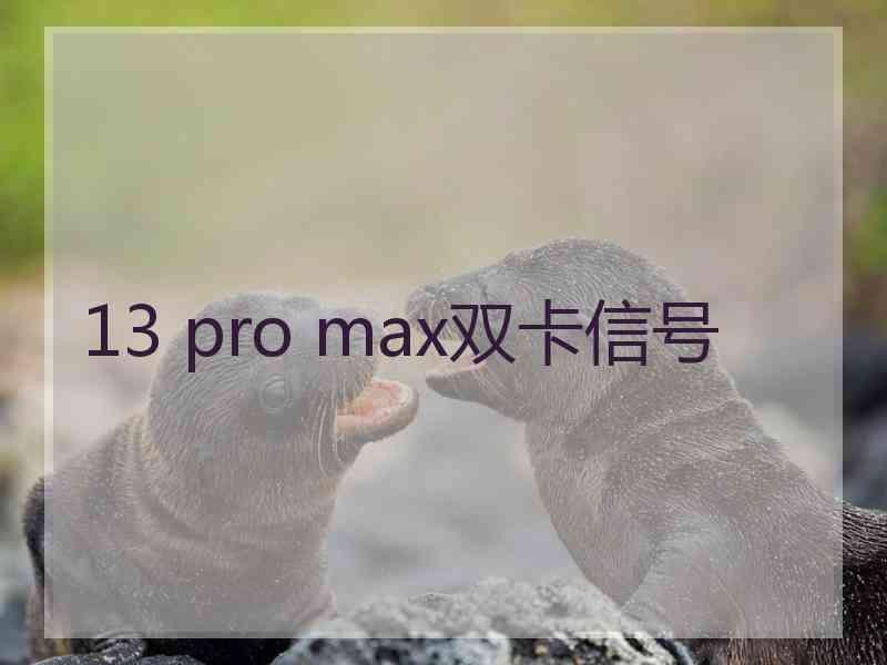 13 pro max双卡信号