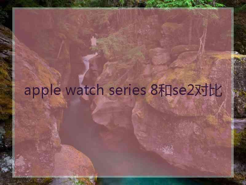 apple watch series 8和se2对比