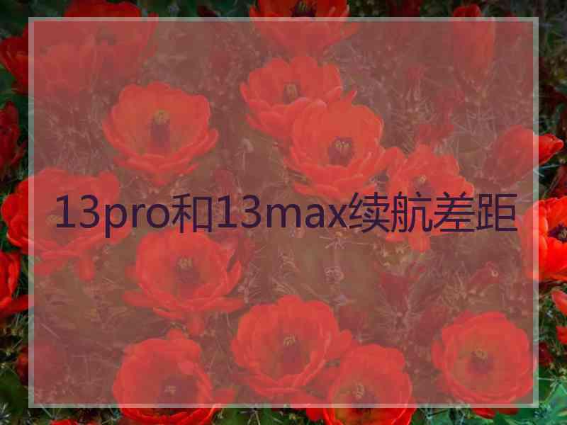 13pro和13max续航差距