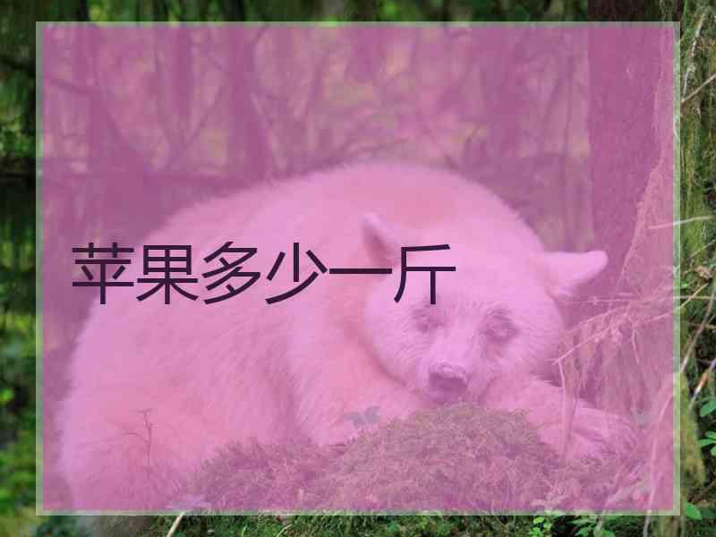 苹果多少一斤