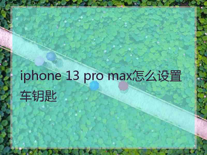 iphone 13 pro max怎么设置车钥匙