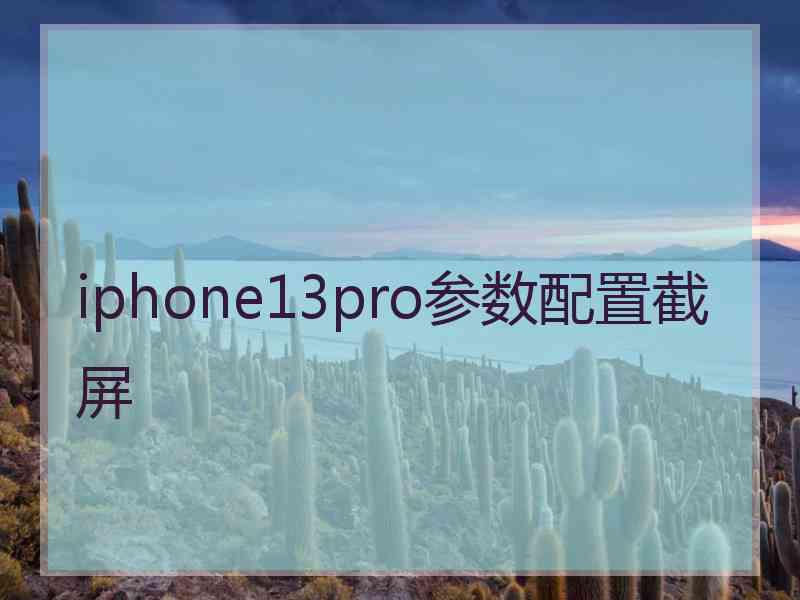 iphone13pro参数配置截屏