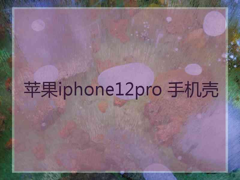 苹果iphone12pro 手机壳