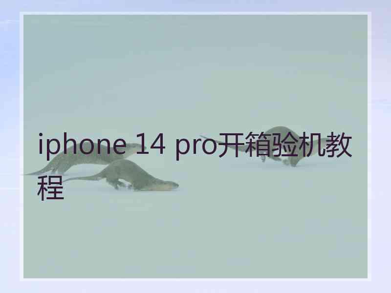 iphone 14 pro开箱验机教程