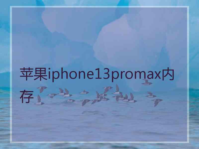 苹果iphone13promax内存