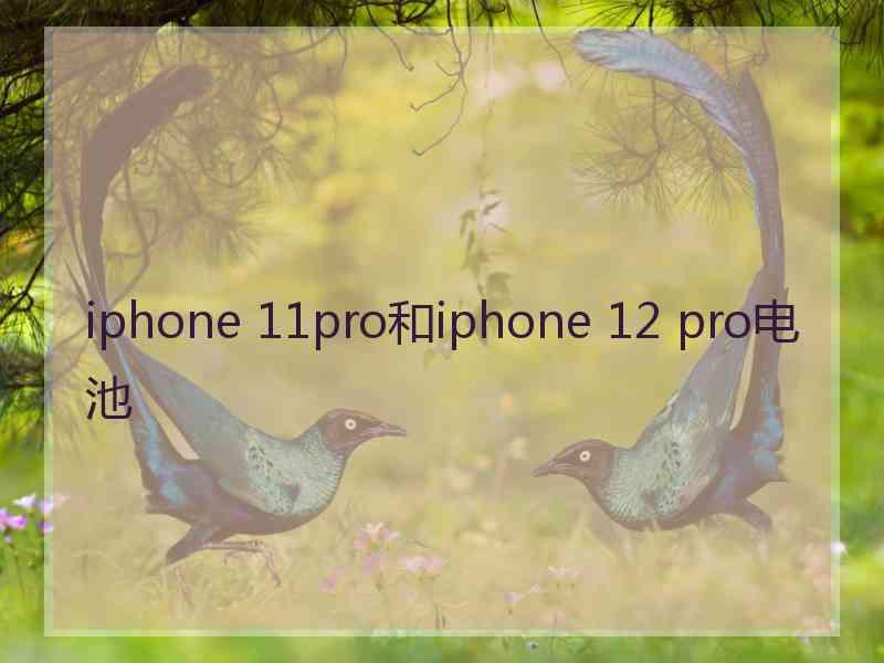 iphone 11pro和iphone 12 pro电池