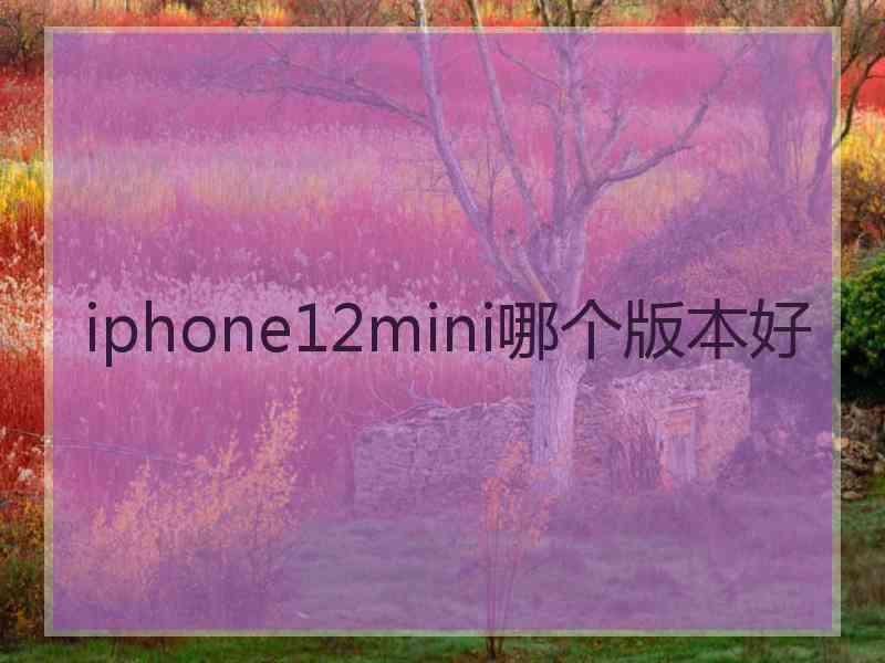 iphone12mini哪个版本好