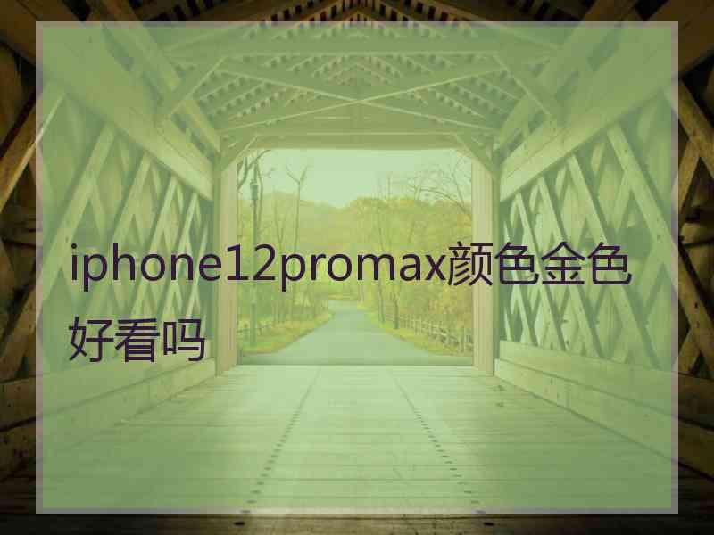 iphone12promax颜色金色好看吗