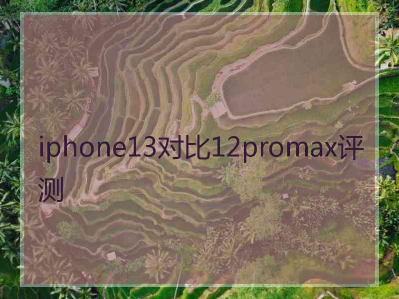 iphone13对比12promax评测