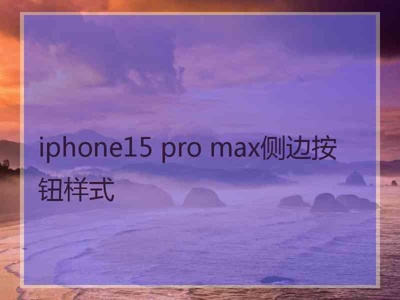 iphone15 pro max侧边按钮样式