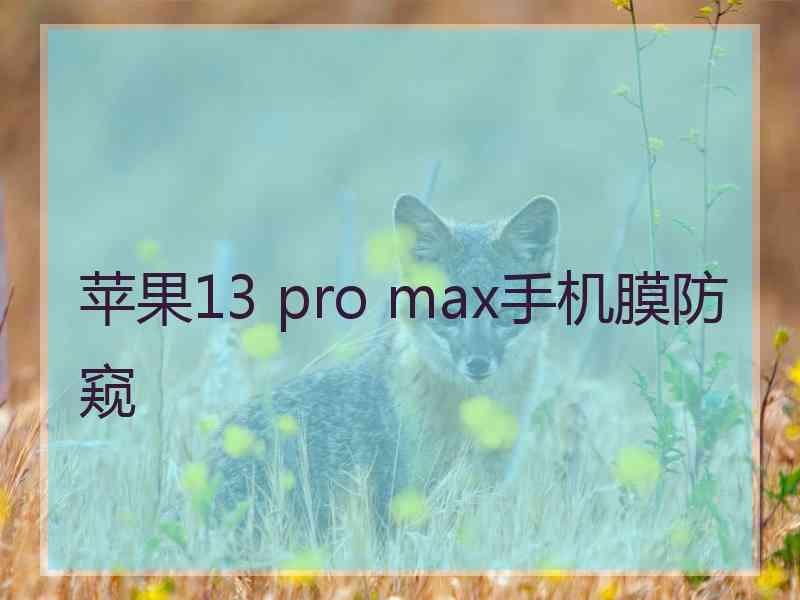 苹果13 pro max手机膜防窥