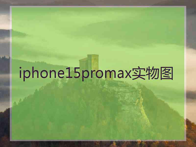 iphone15promax实物图