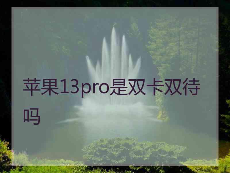 苹果13pro是双卡双待吗