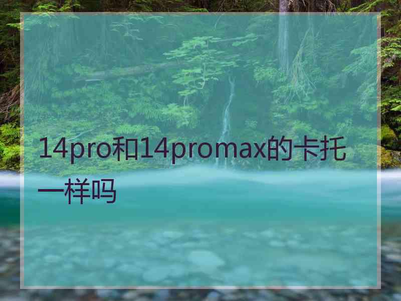 14pro和14promax的卡托一样吗