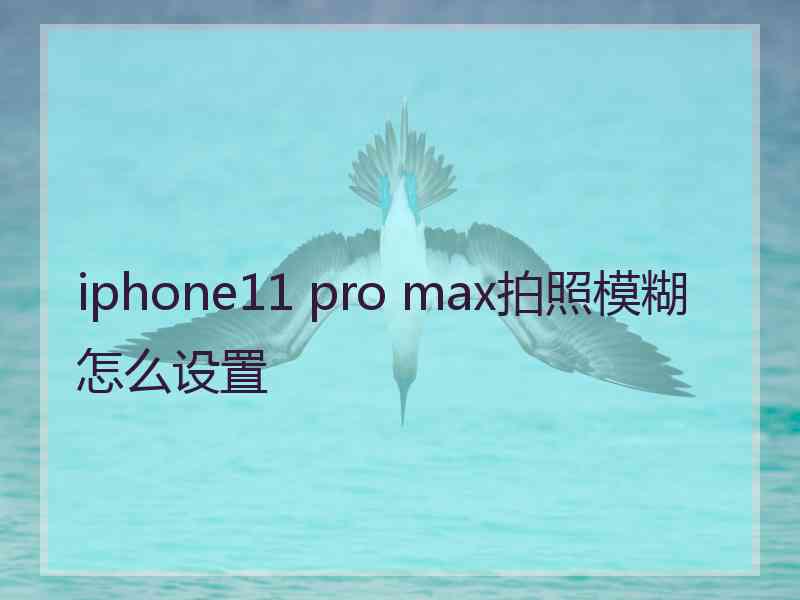 iphone11 pro max拍照模糊怎么设置