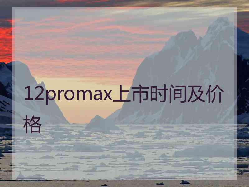 12promax上市时间及价格