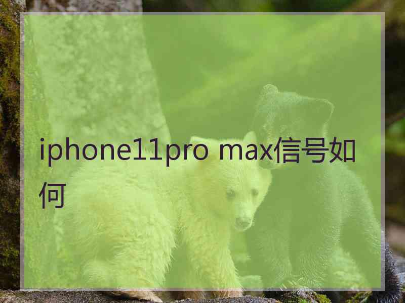 iphone11pro max信号如何