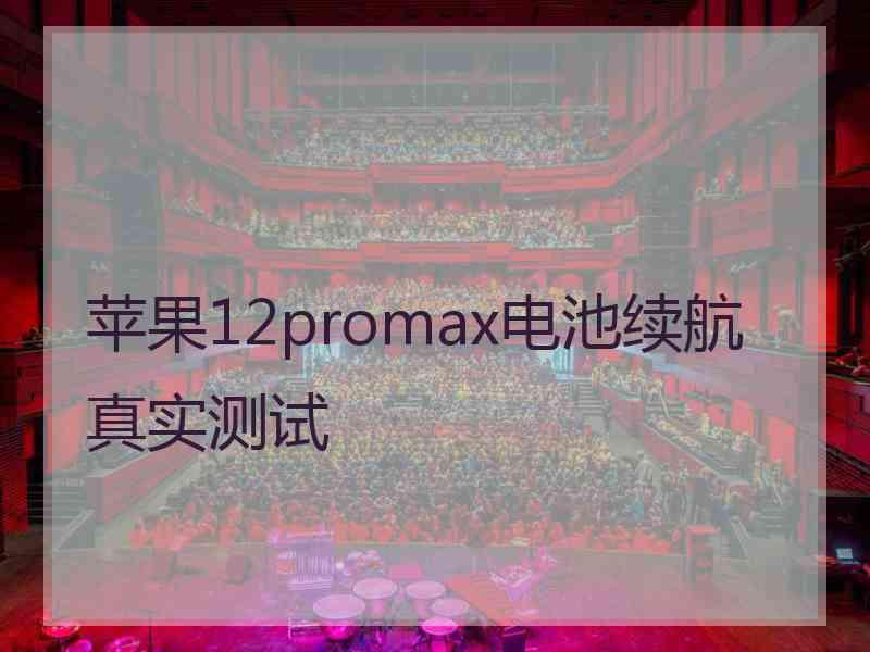 苹果12promax电池续航真实测试